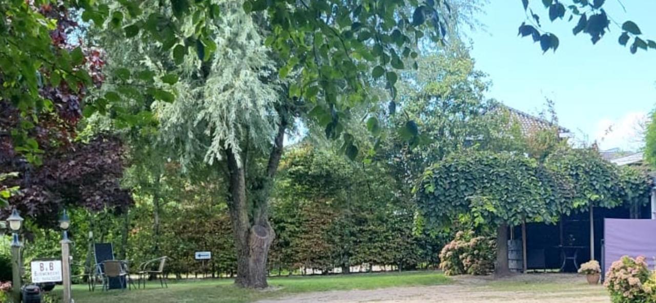 Luxe Bloemenzicht 4 Personen, Bnb, 10 Minuten Van Zee Breezand Kültér fotó